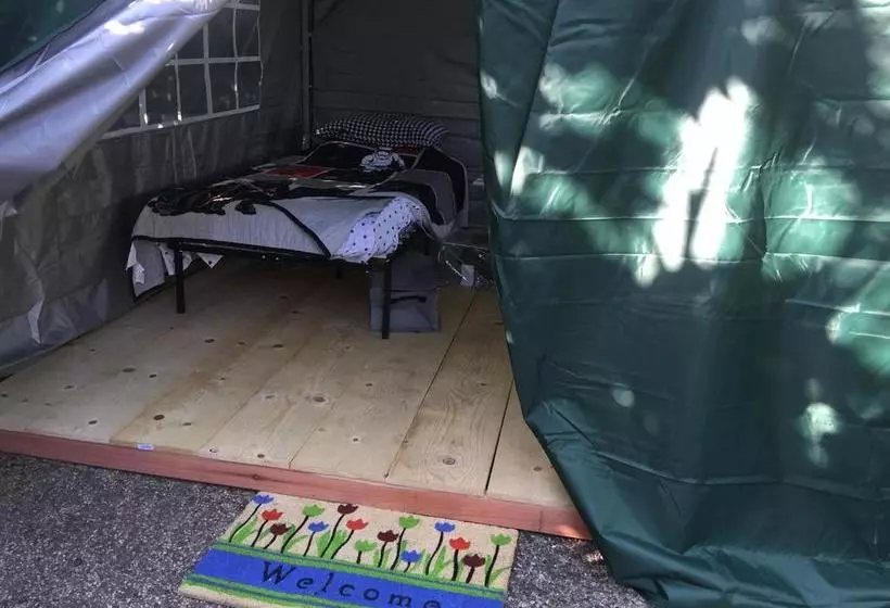 تختخواب و صبحانه Saratoga House   Cars Available