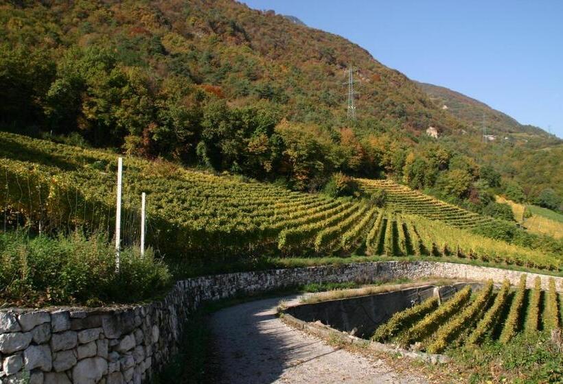 مبيت وإفطار Tirolerin Garni