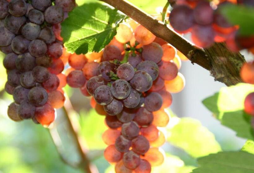 مبيت وإفطار Tirolerin Garni