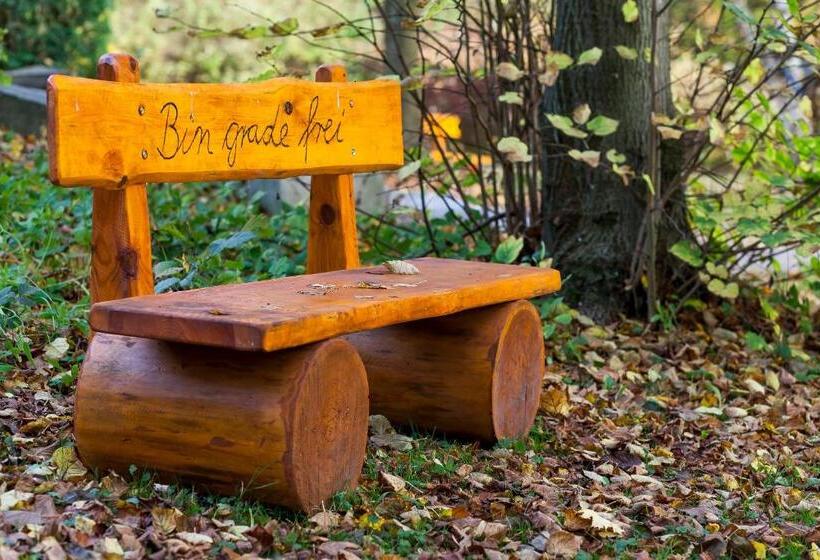 Bio  Und Gesundheitshotel Gutshaus Stellshagen