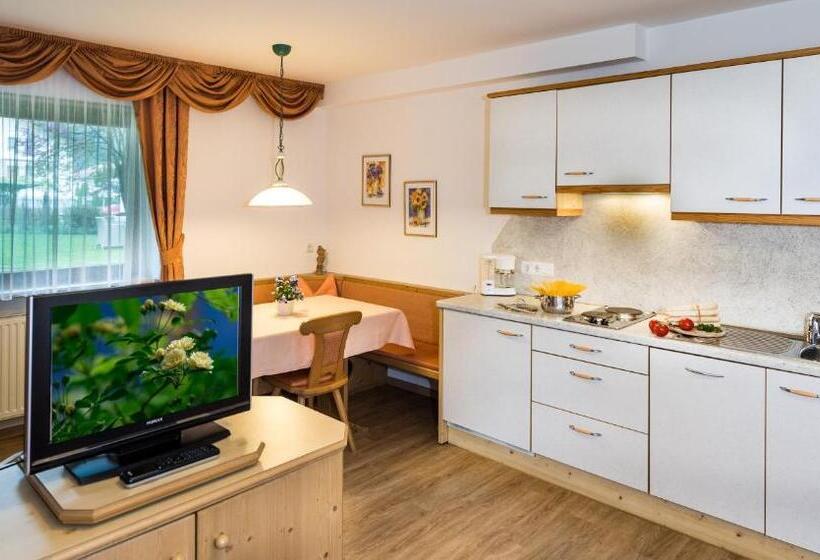 Отель Apartm. & Bb Ferienidylle Gstrein