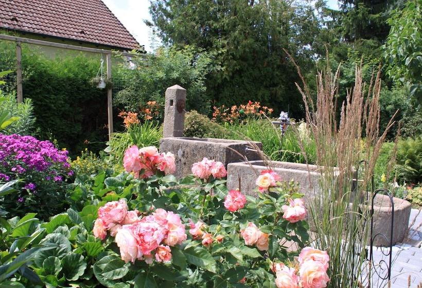 Отель Mein Klein