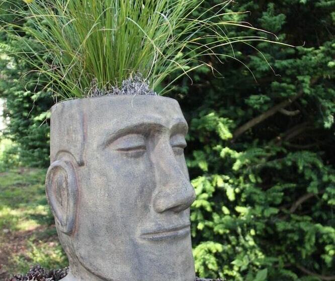 Отель Mein Klein