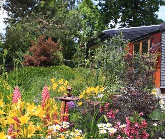 Отель Mein Klein