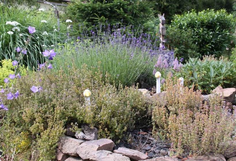 Отель Mein Klein