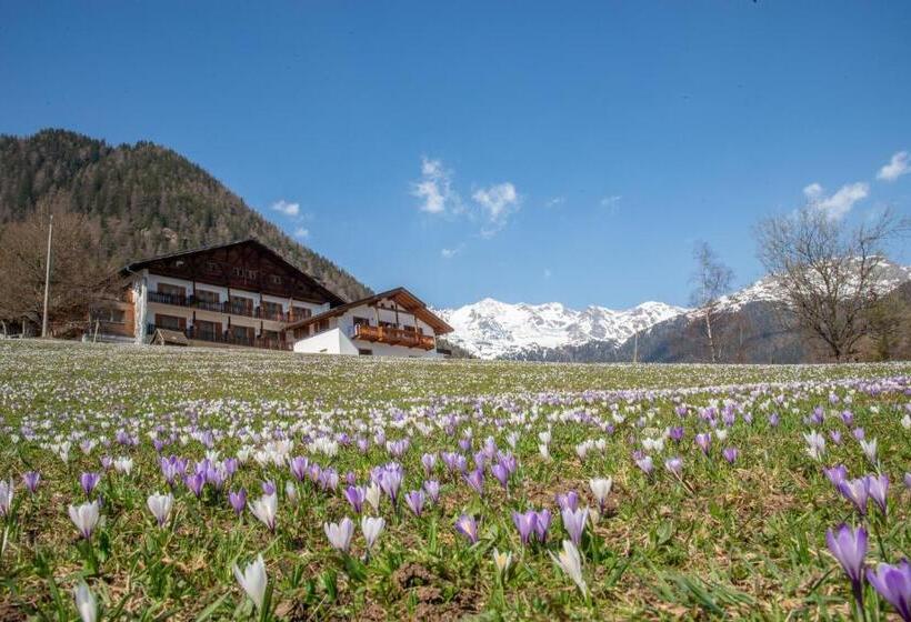 Отель Ultnerhof