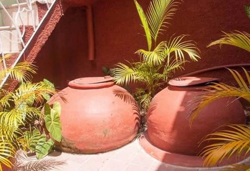 Hostal Manzzanares Hostel