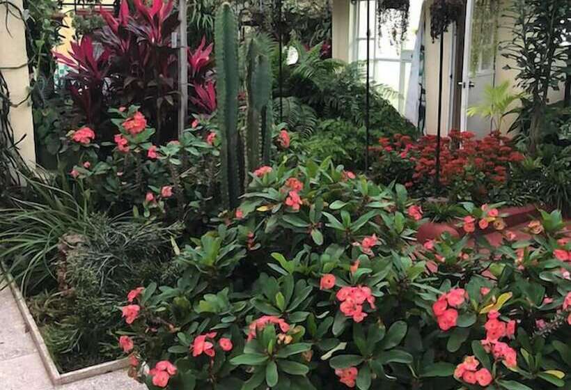 تختخواب و صبحانه Hostal Los Torralbo