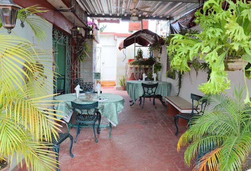 پانسیون Casa Las Palmeras