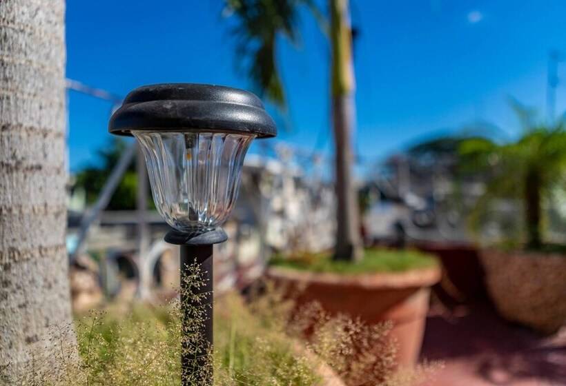 پانسیون Casa Las Palmeras