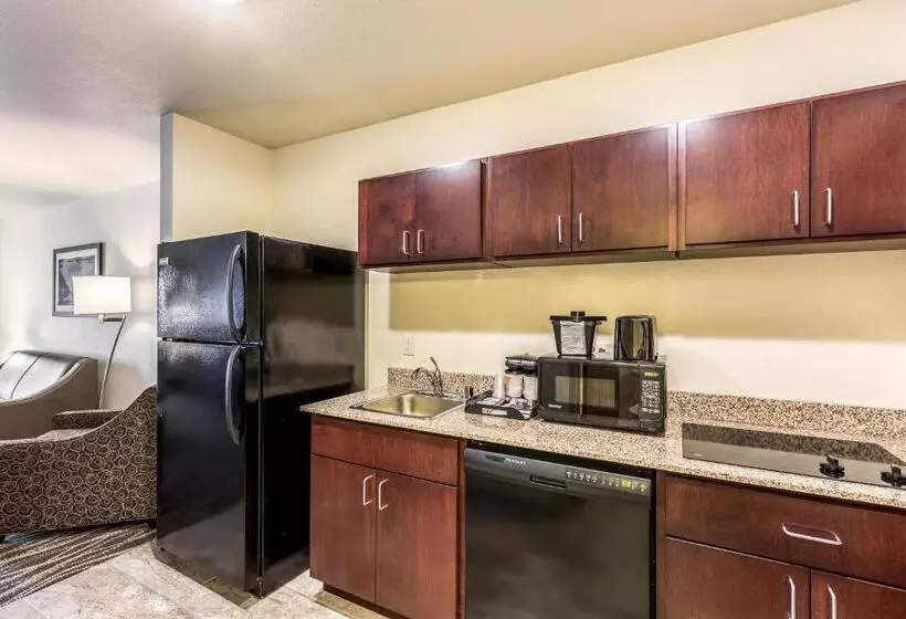 Cobblestone Hotel & Suites   Stevens Point
