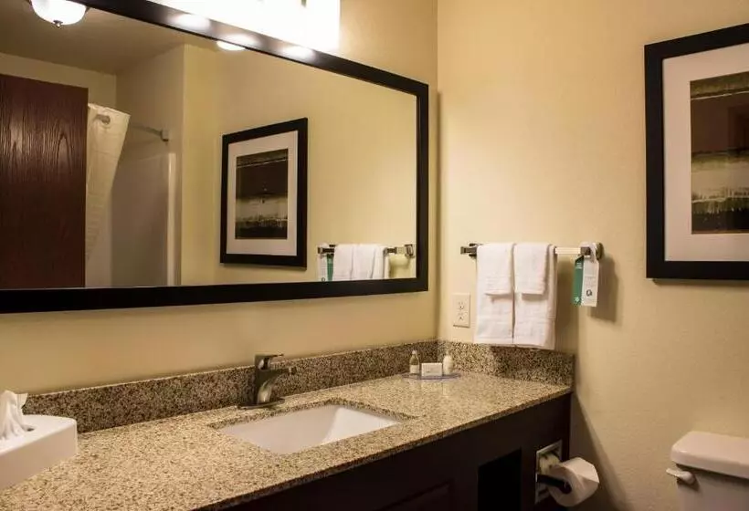 Cobblestone Hotel & Suites   Stevens Point