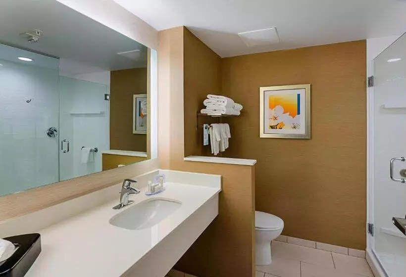 ホテル Fairfield Inn & Suites By Marriott Abingdon