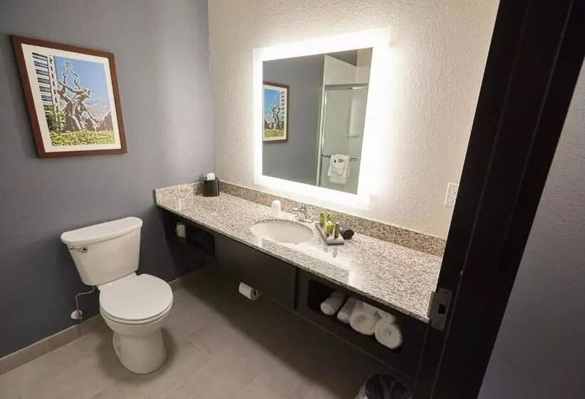 Gundersen Hotel & Suites