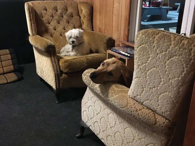 旅馆 Adventure Inn Marahau