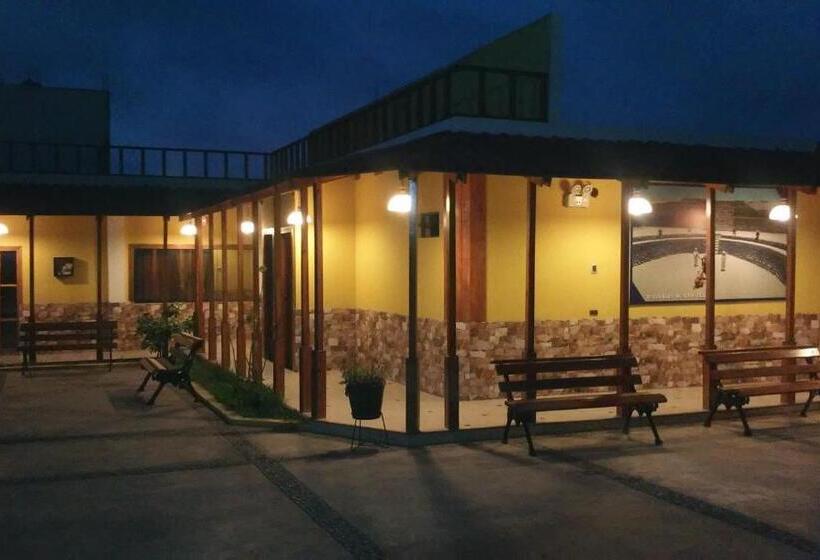 הוסטל Paradisse