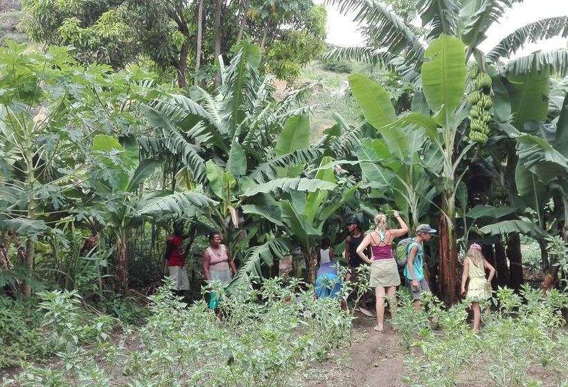 تختخواب و صبحانه Villa Sao Jose