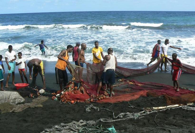 تختخواب و صبحانه Villa Sao Jose