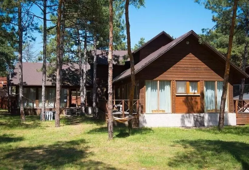Friday Wood Hostel