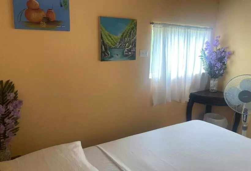 Hostel Julieta