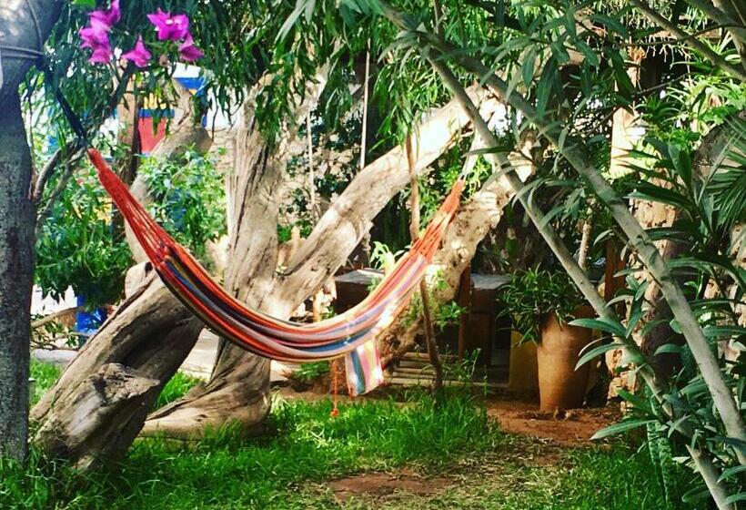 فندق Auberge De La Plage