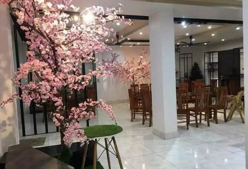هتل Bao Trang