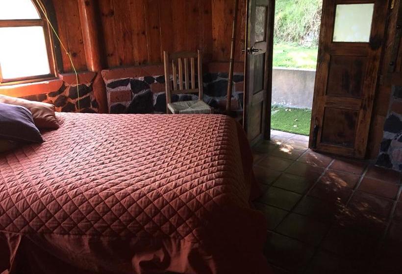 酒店 Cabañas El Tata