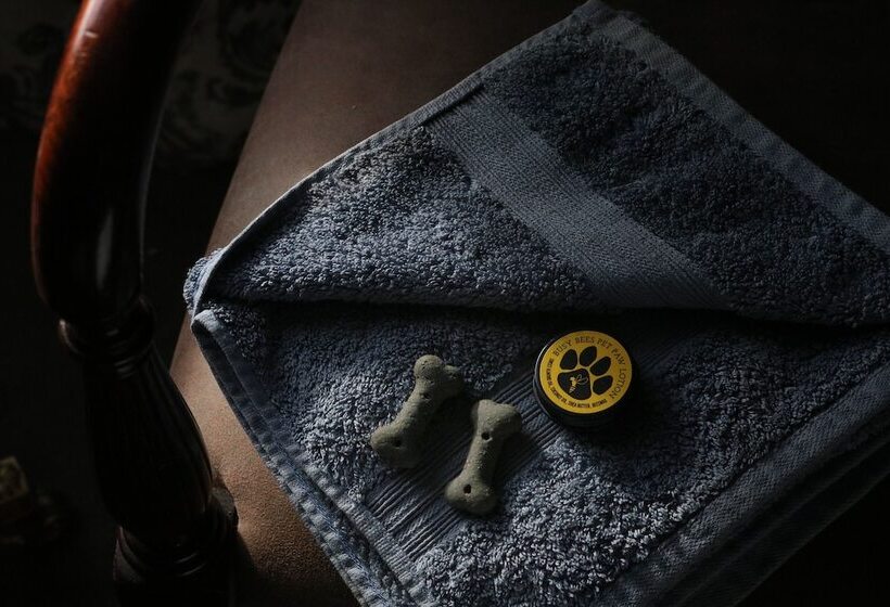 酒店 The White Hart