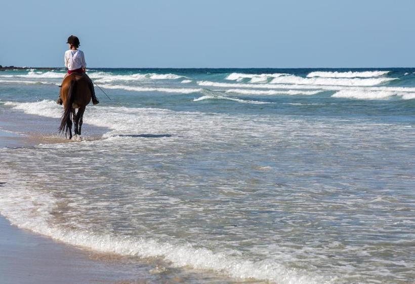 酒店 Villa Nyangumi