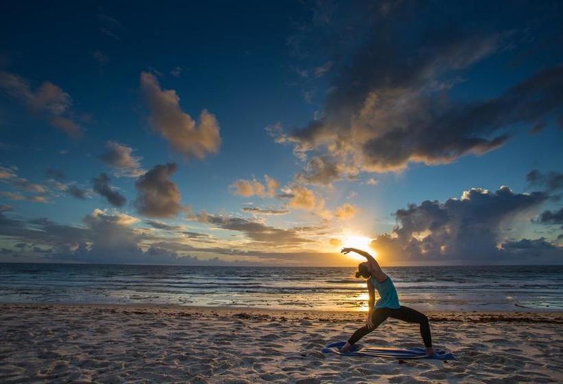 酒店 Villa Nyangumi