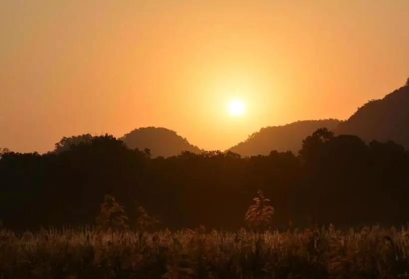 Spree Maati Jungle Resort