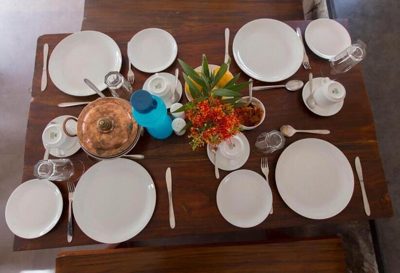 Spree Maati Jungle Resort