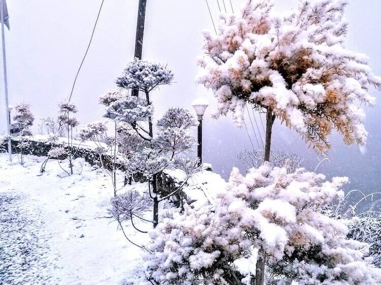 The Swiss Village Resort