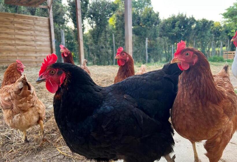 مبيت وإفطار Residence La Salamandre