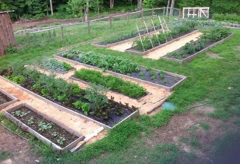 Cold Moon Farm B&b