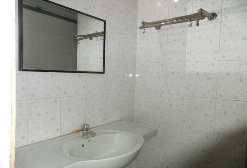 Hotelli Ambassador Executive