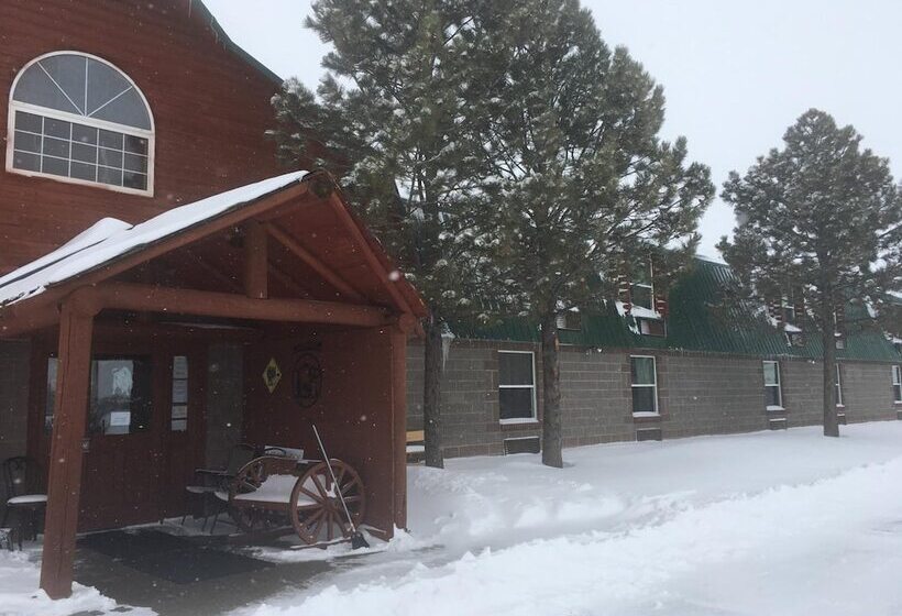 Отель Buffalo Lodge