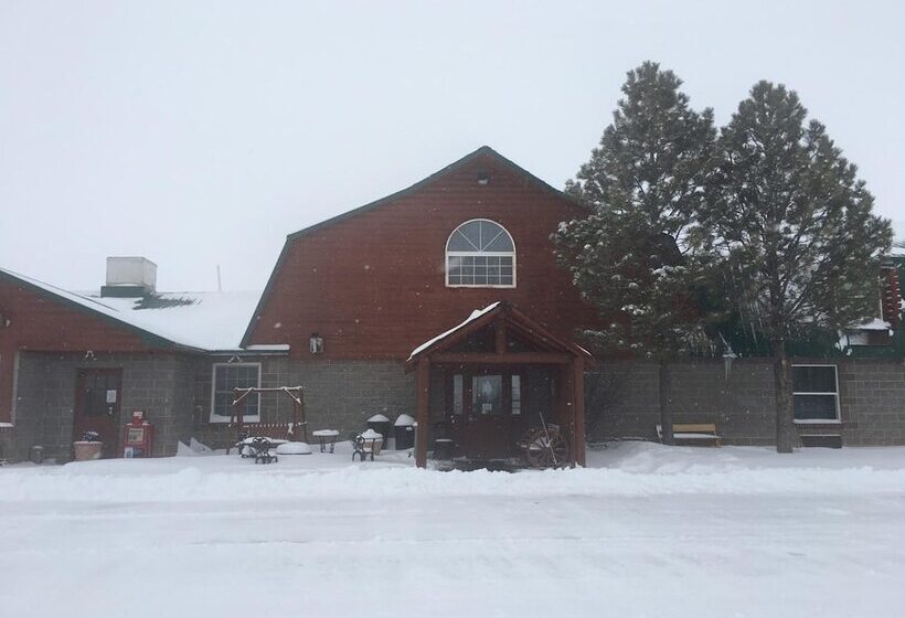 Отель Buffalo Lodge