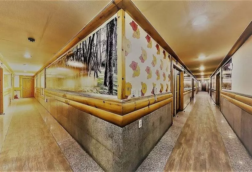 Pine Motel