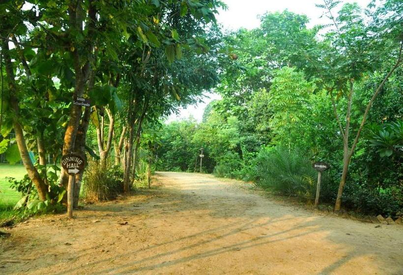 渡假胜地 The Riverwood Forest Retreat Pench