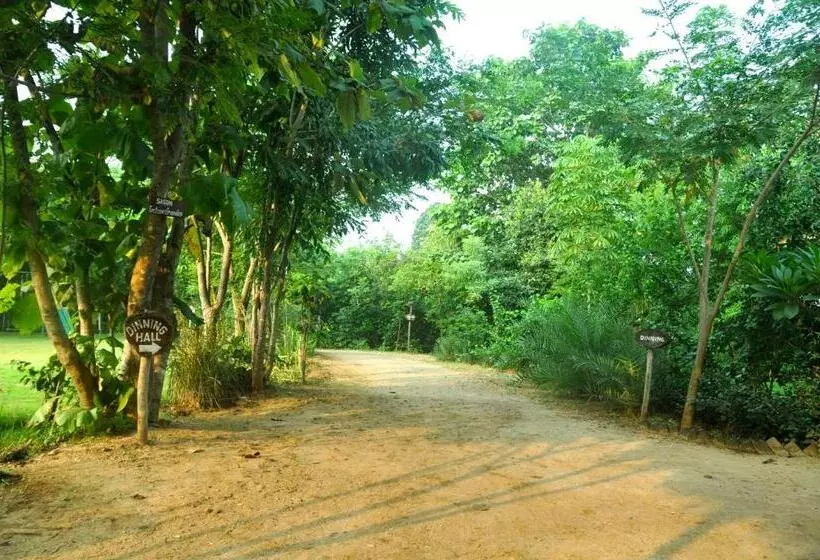 リゾートホテル The Riverwood Forest Retreat Pench