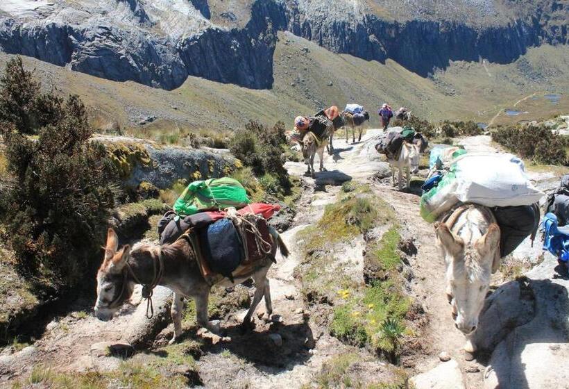 Vacahouse Hostels B&b