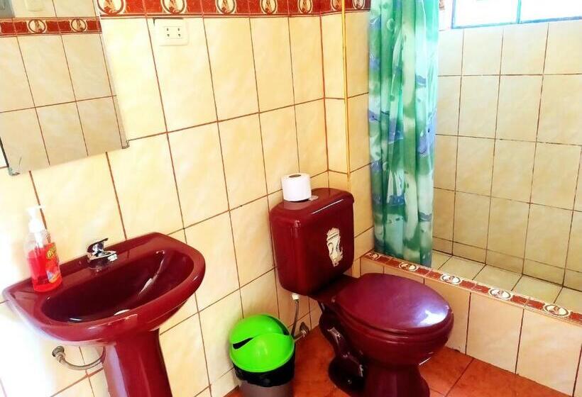 Vacahouse Hostels B&b