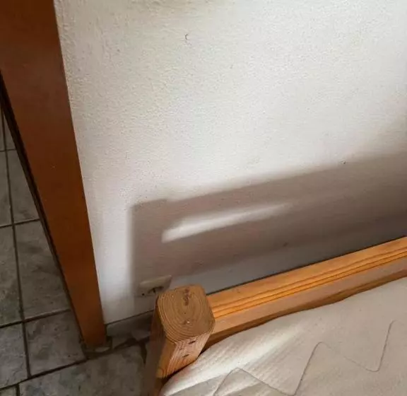 ベッドアンドブレックファースト Privates Zimmer Mit Ausflugsbegleitung