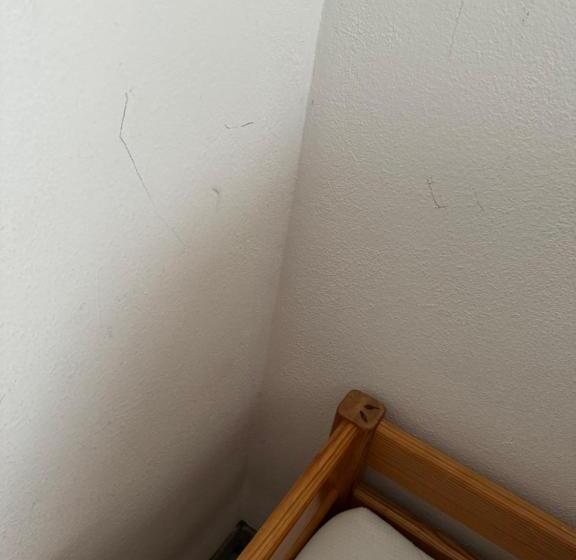 Bed and Breakfast Privates Zimmer Mit Ausflugsbegleitung