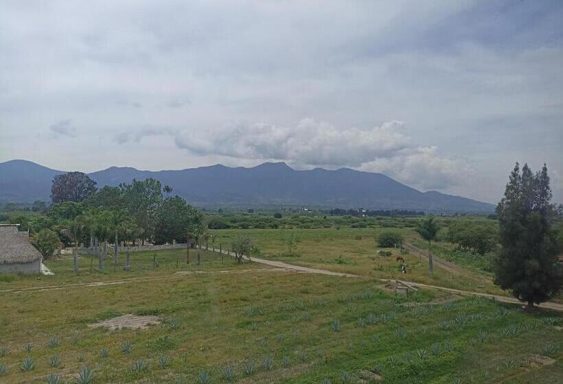 Отель Don Pedrillo