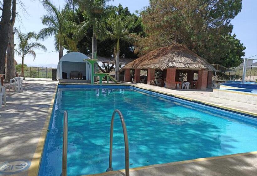 Отель Don Pedrillo