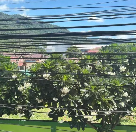 Majatalo Noahs Ark Suites