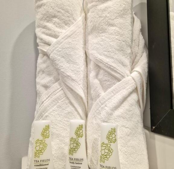 Avanta Hotel & Villas Querétaro