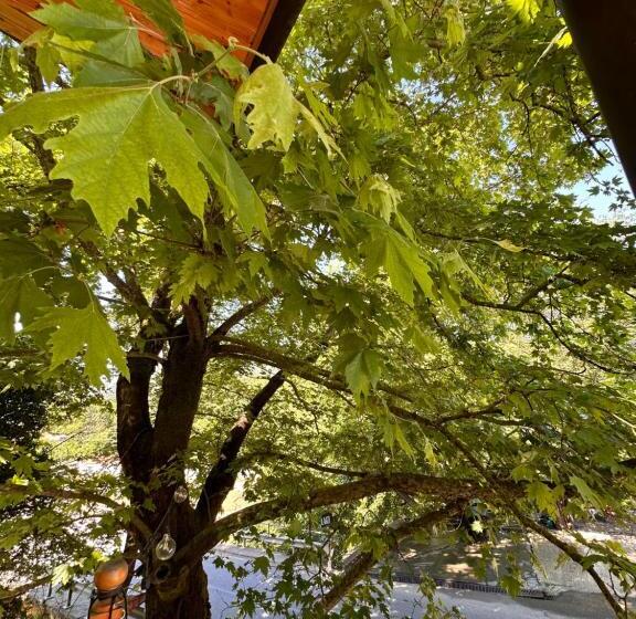 Bar Restaurant Hotel Fresku